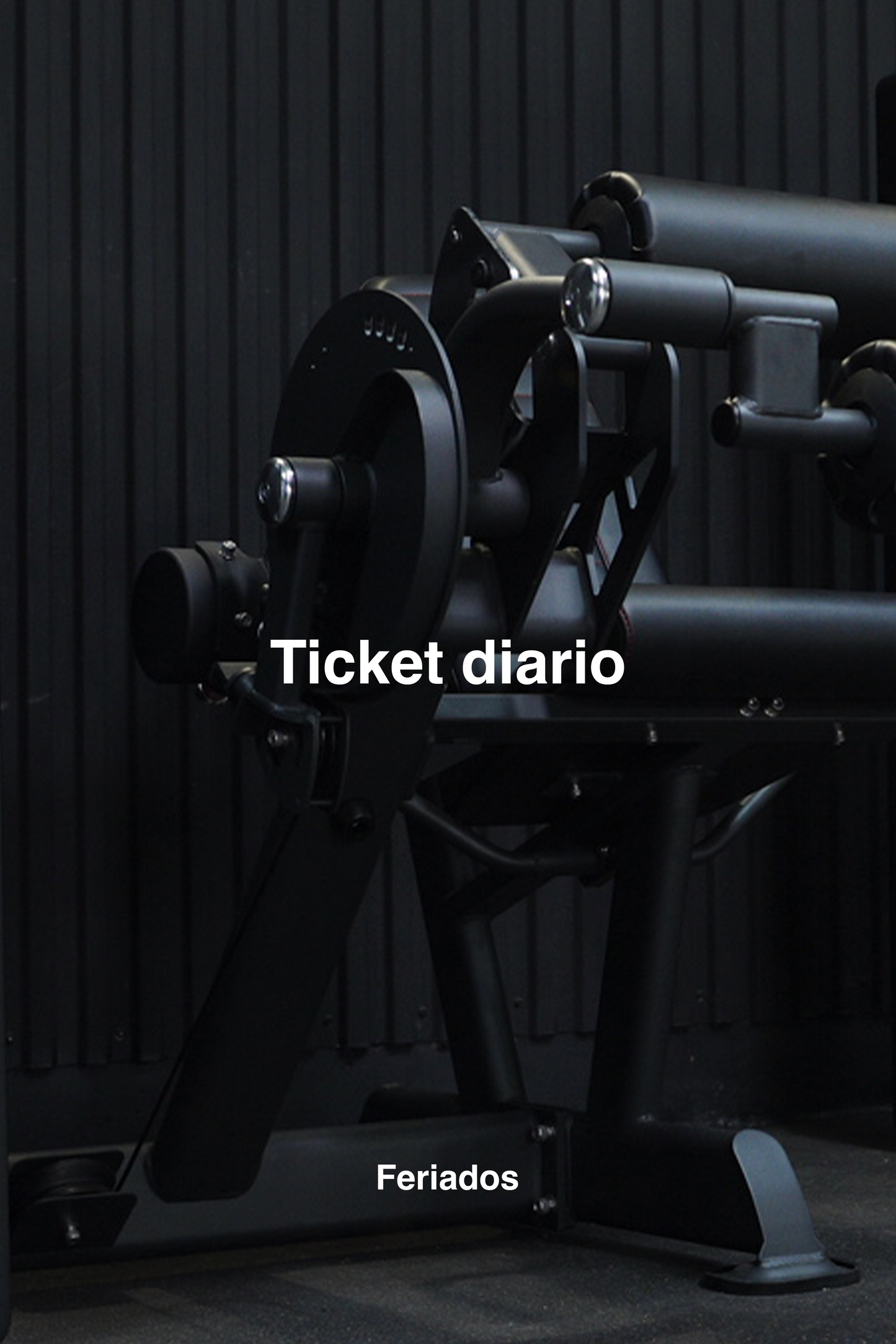 TICKET DIARIO FERIADOS